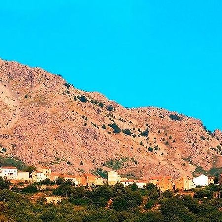Auberge Casa Mathea Poggio-di-Venaco Kültér fotó
